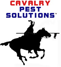Cavalry Pest Solutions 374932 Image 5